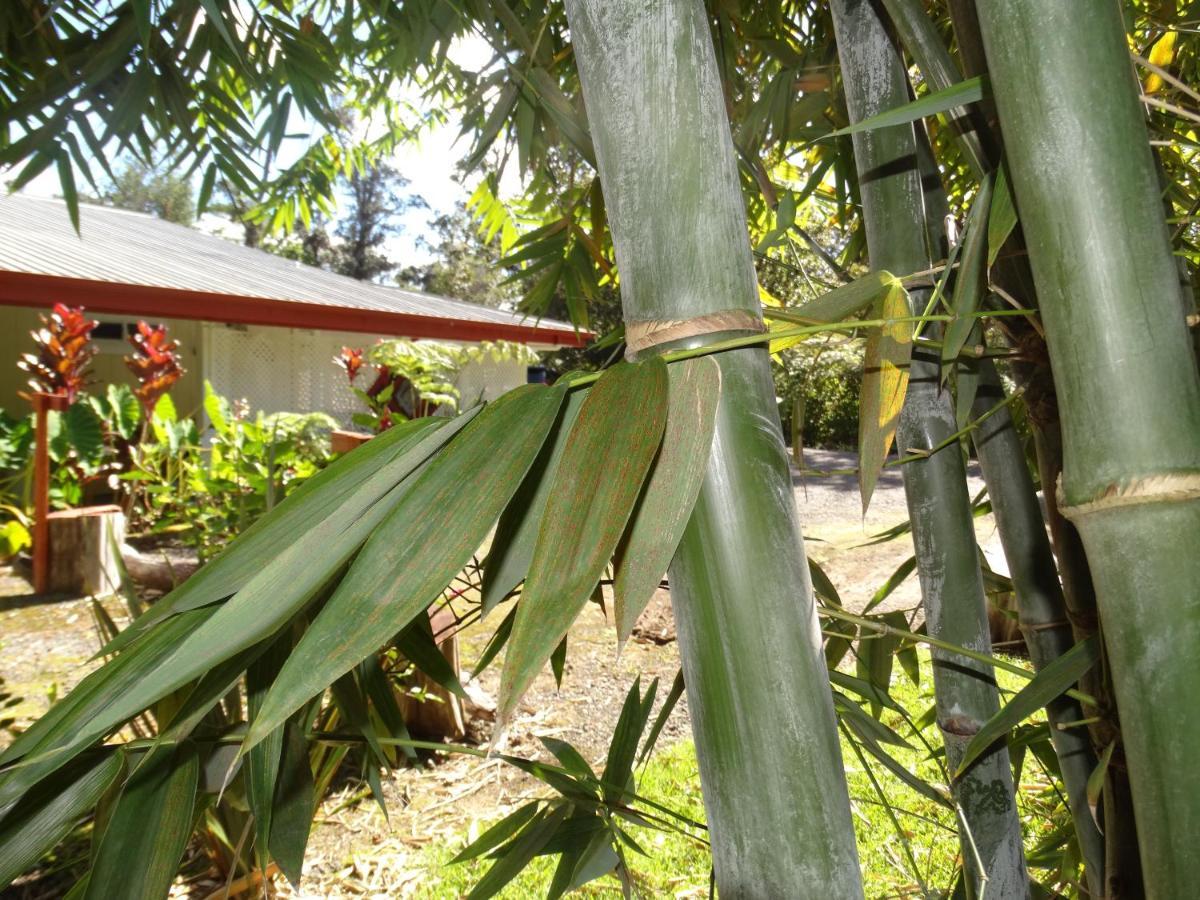 Lokahi Lodge 볼케이노 외부 사진